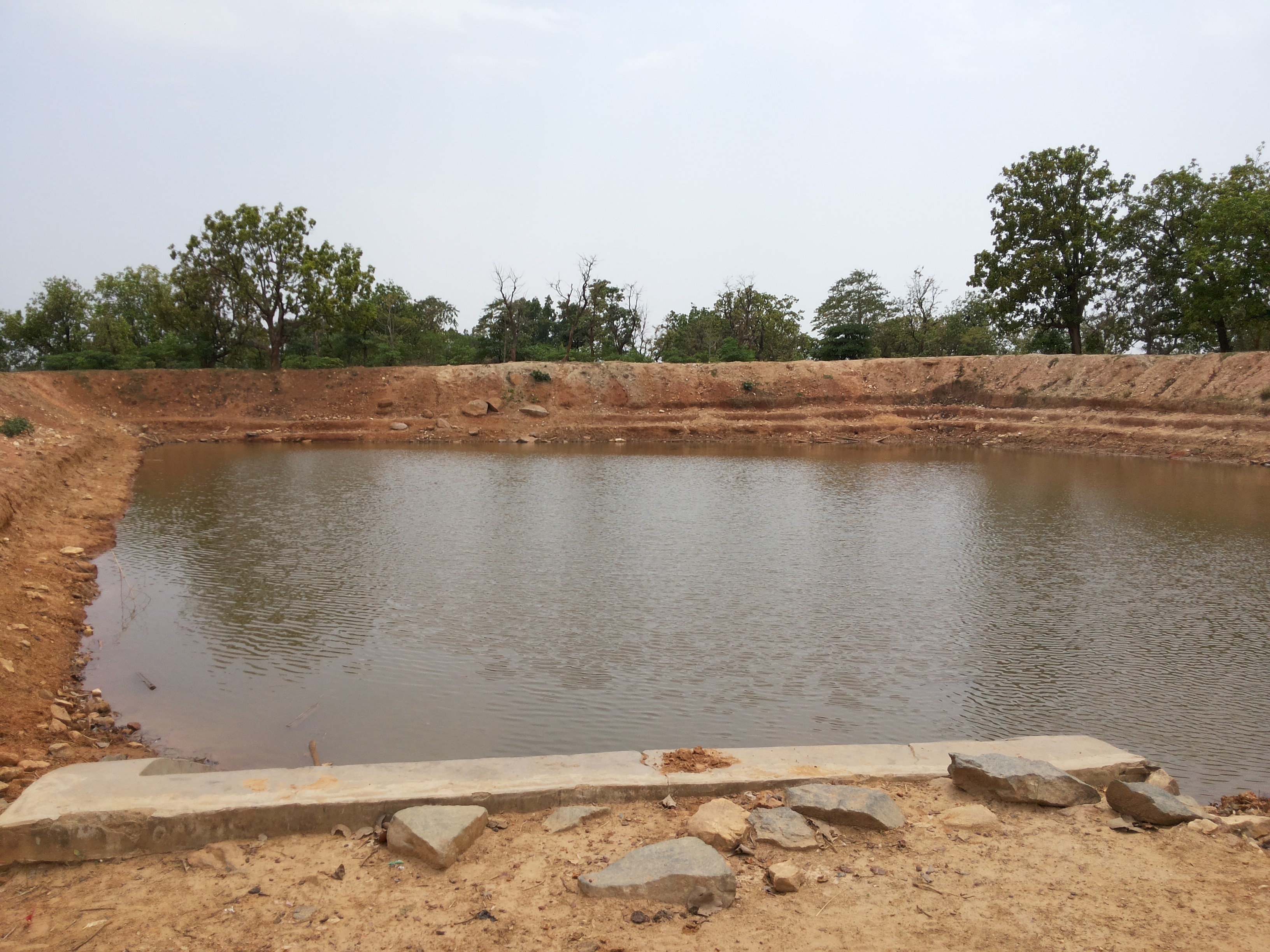 Farm pond