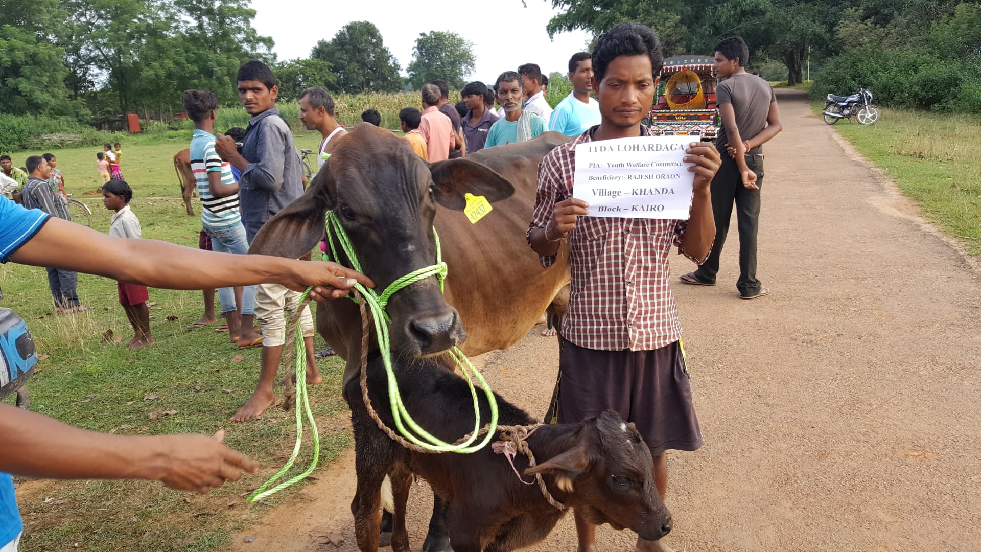 Livestock-related activity