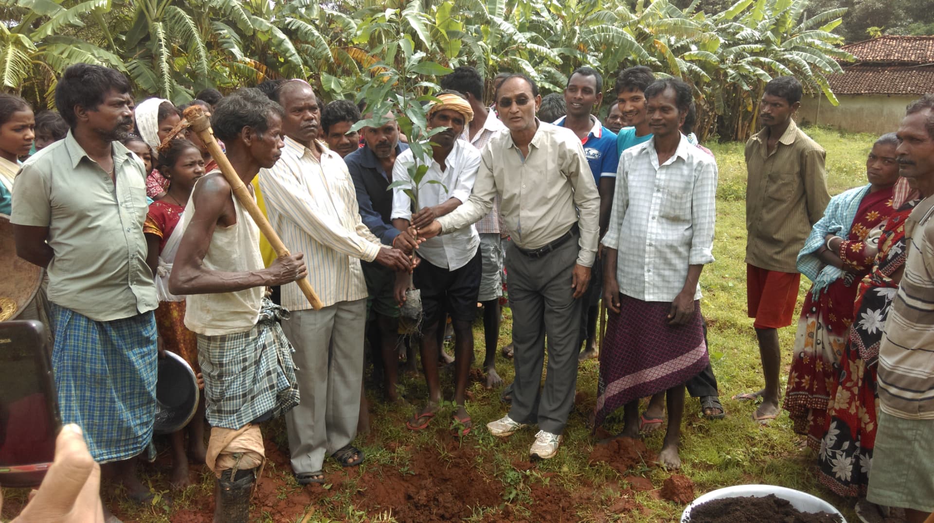 Tree planting gathering