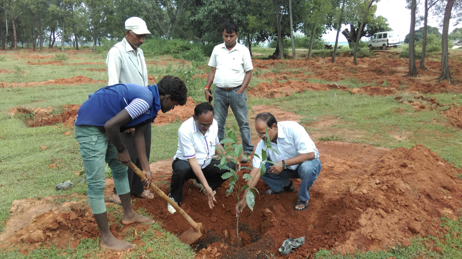 Planting a sapling
