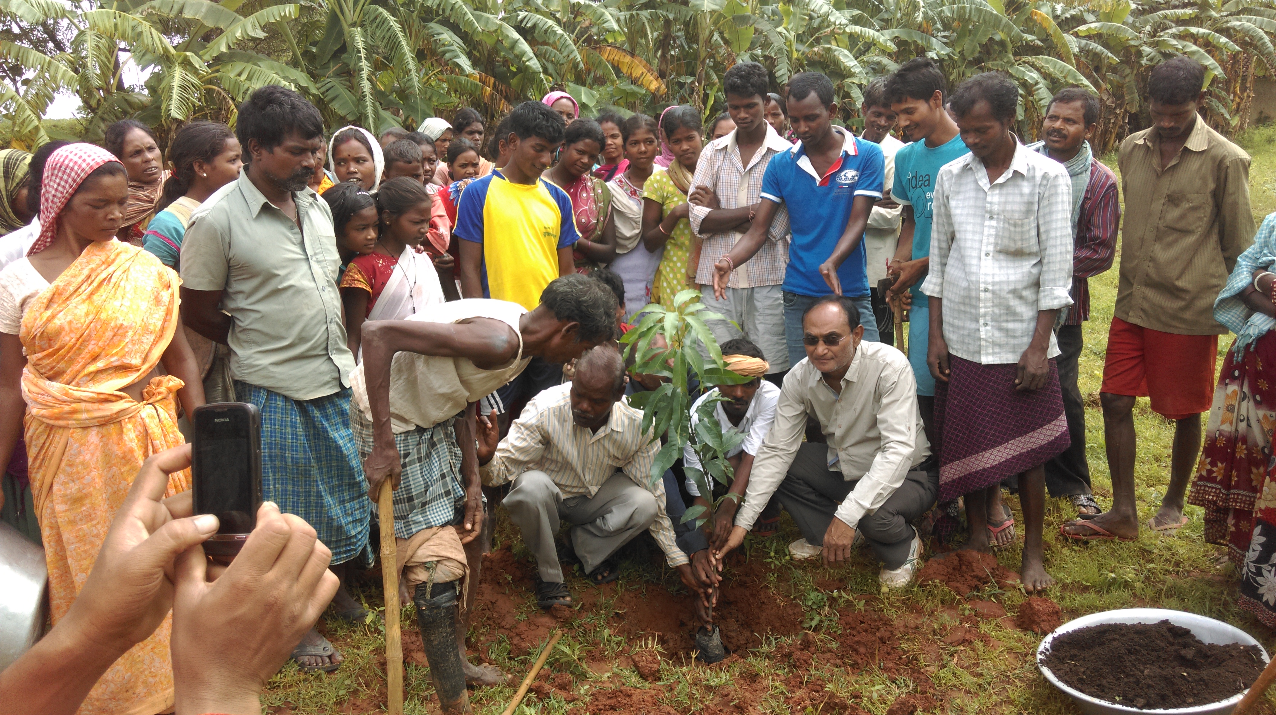 Community tree planting